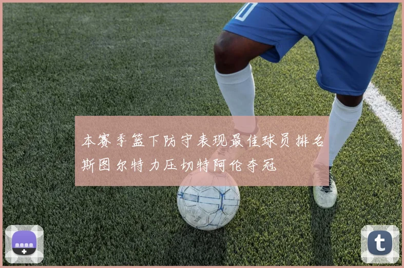 本赛季篮下防守表现最佳球员排名斯图尔特力压切特阿伦夺冠